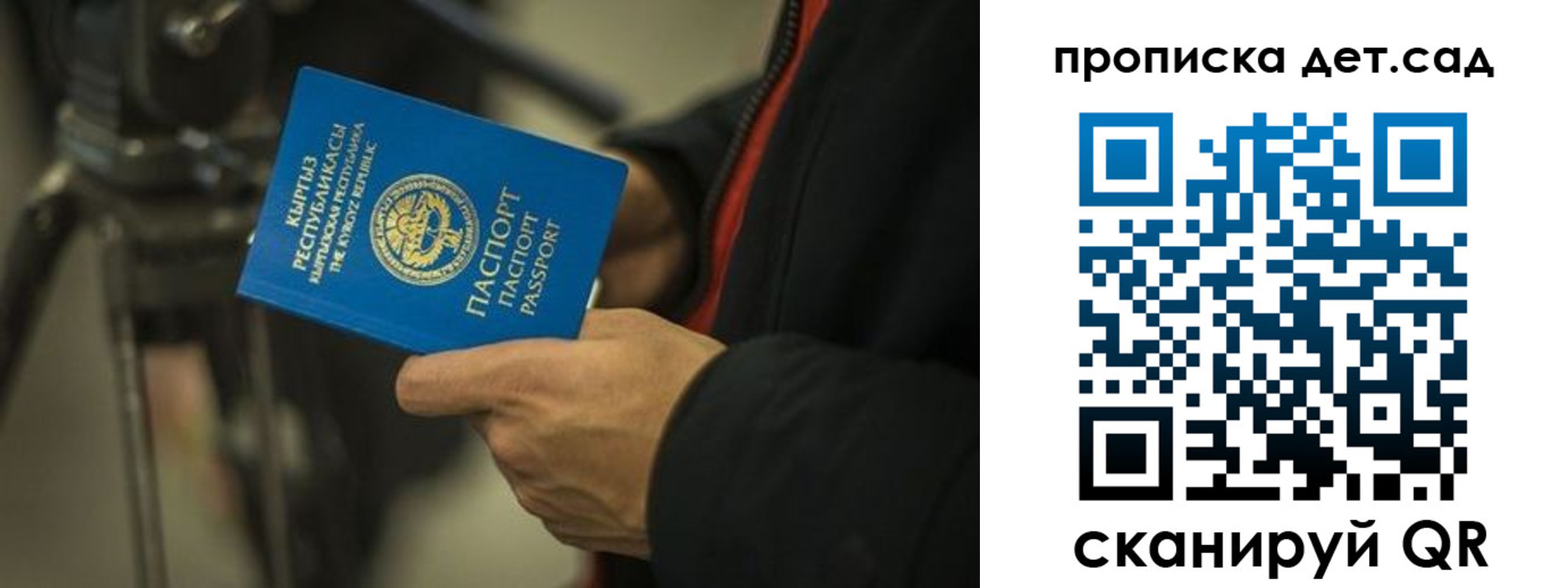 прописка поиск в Шилке